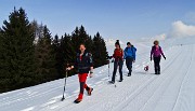 Bel ritorno al Magnolini e sul Monte Alto il 12 marzo 2016  - FOTOGALLERY